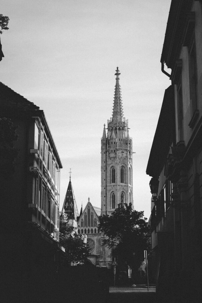 Pexels Igorejov 21176606 683x1024